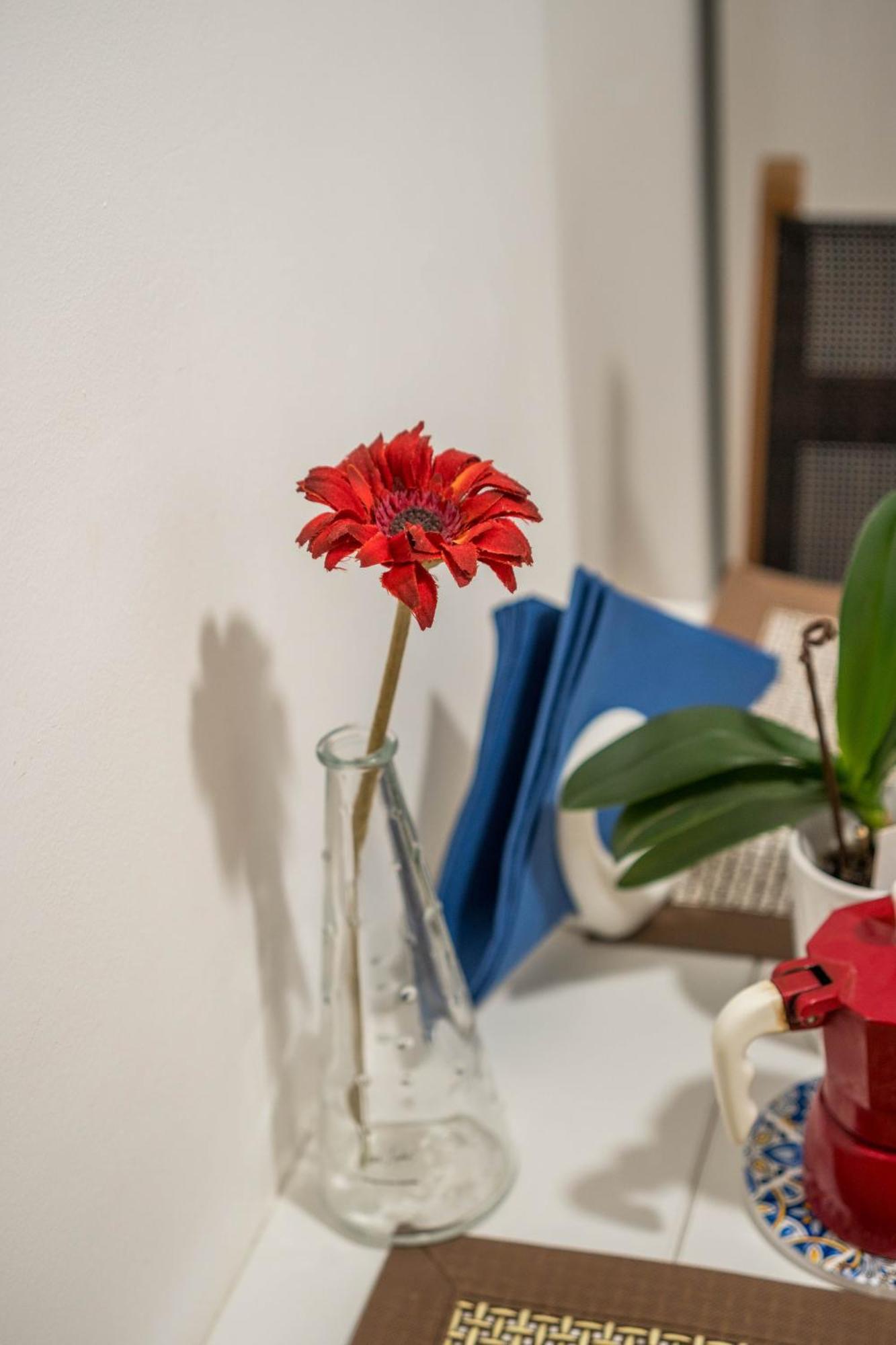 Caposud - Marina Apartment